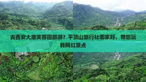 平顶山去西安大唐芙蓉园旅行社