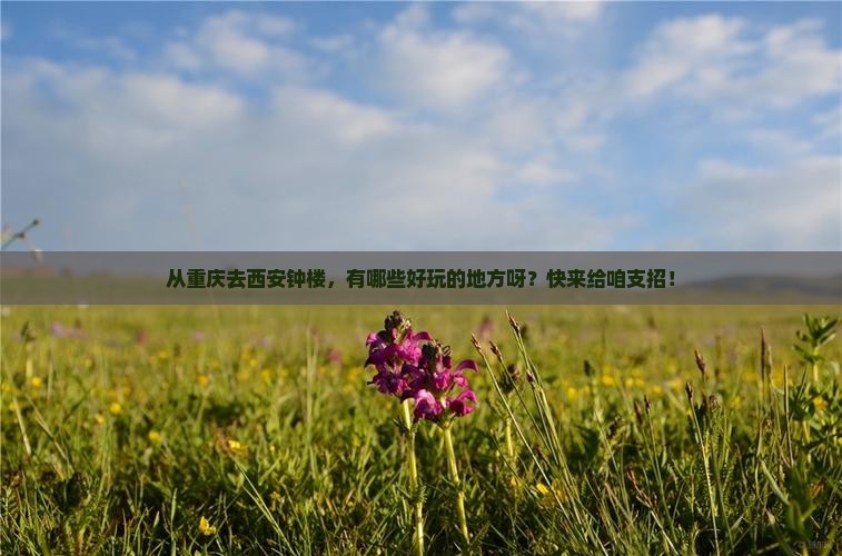 重庆到西安钟楼哪里玩