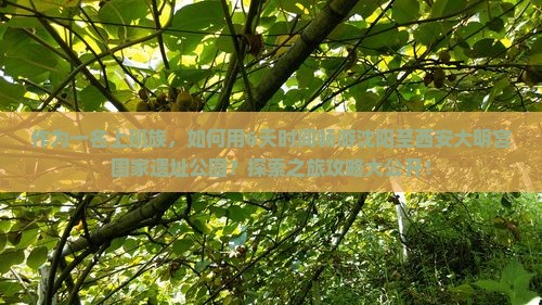 沈阳到西安大明宫国家遗址公园六日游