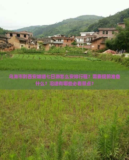 乌海市到西安城墙七日游