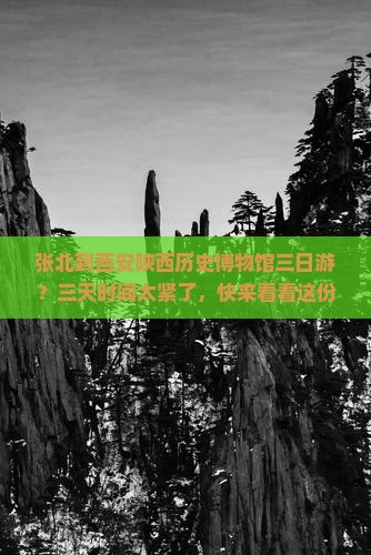 张北到西安陕西历史博物馆三日游