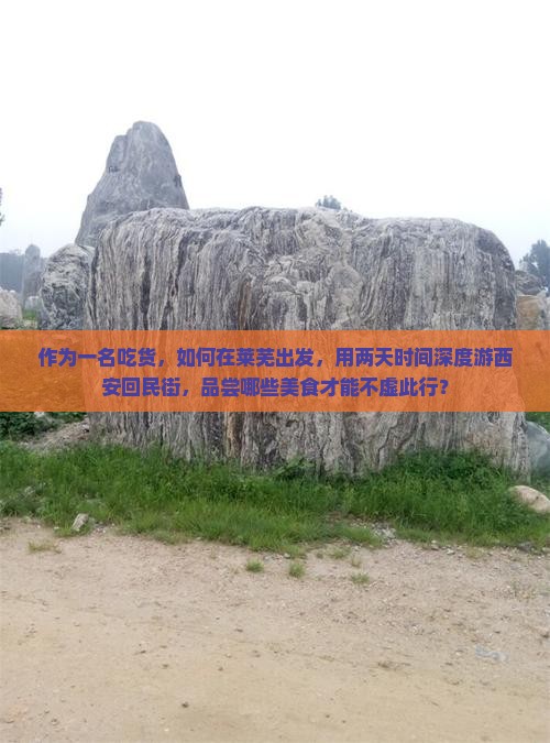 莱芜到西安回民街二日游