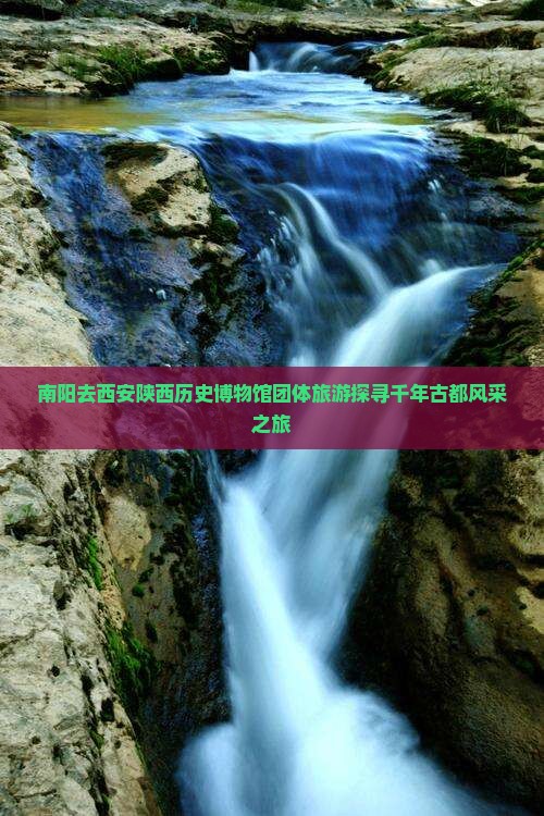 南阳去西安陕西历史博物馆团体旅游
