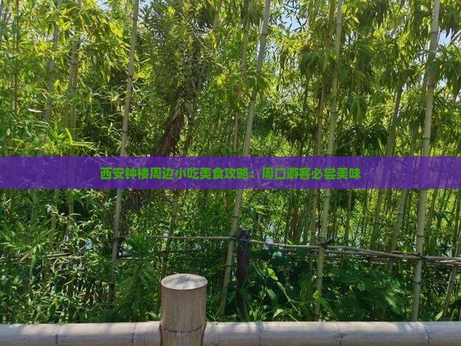 周口到西安钟楼旅游小吃