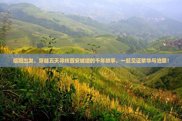 信阳去西安城墙五日游