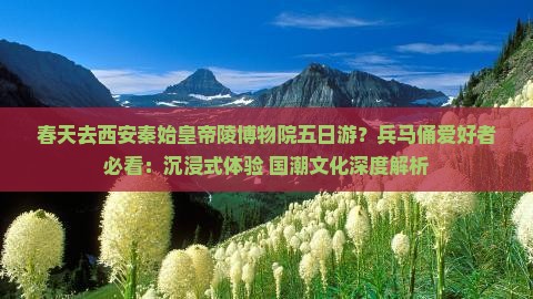 春天去西安秦始皇帝陵博物院五日游