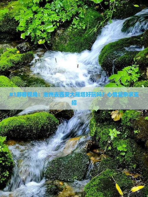 池州到西安大雁塔景点