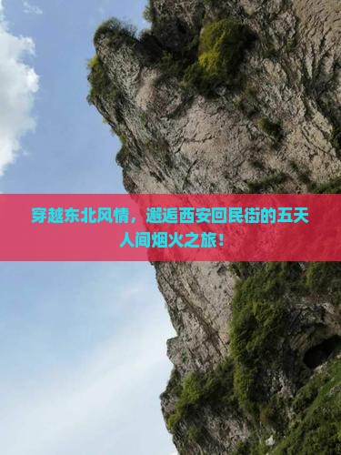 哈尔滨去西安回民街五日游