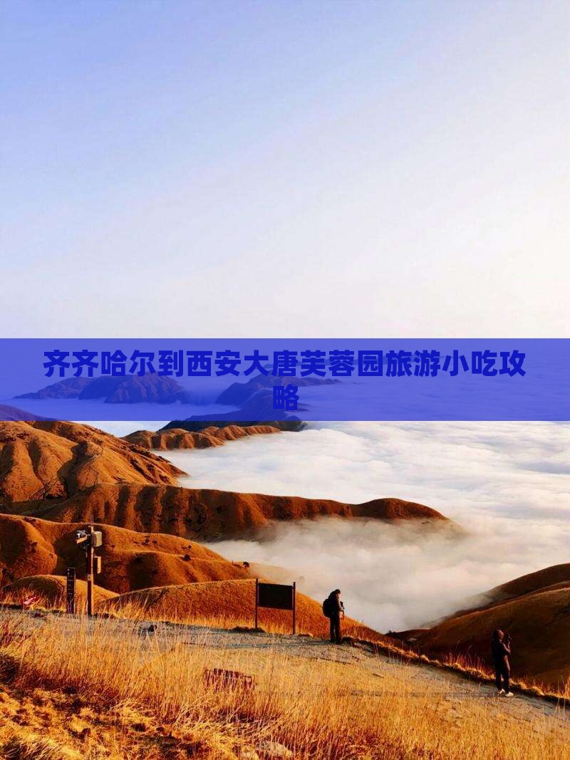 齐齐哈尔到西安大唐芙蓉园旅游小吃