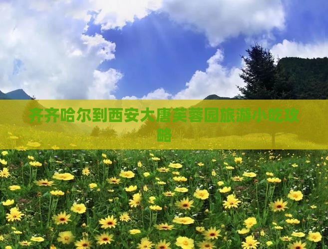 齐齐哈尔到西安大唐芙蓉园旅游小吃