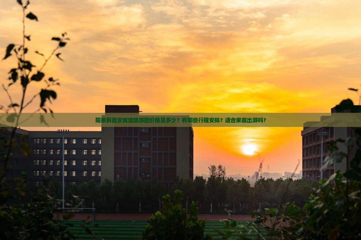 阳泉到西安城墙大型旅游团