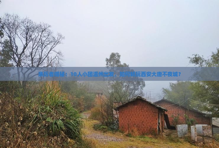 温州到西安大唐不夜城团体旅游
