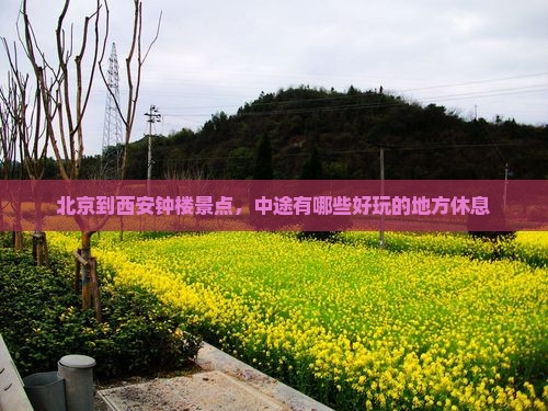 北京到西安钟楼景点