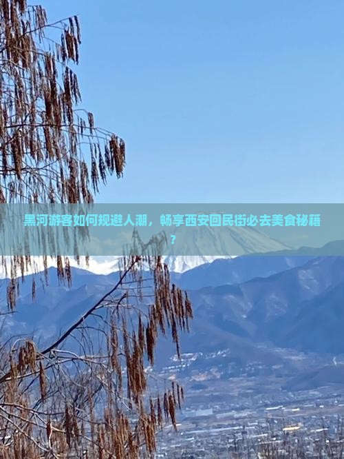 黑河到西安回民街必去地