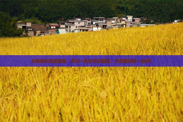 黔南到西安城墙二日游