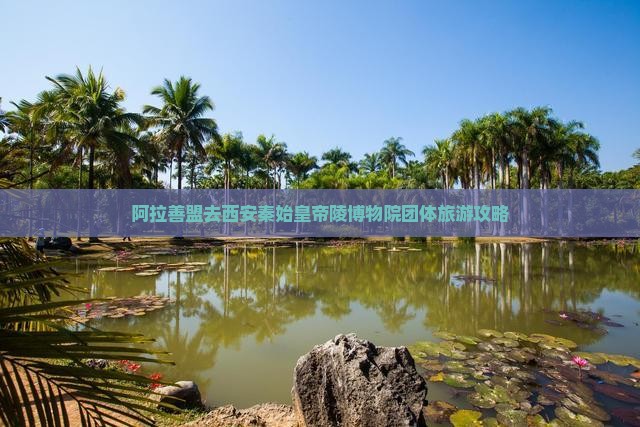 阿拉善盟去西安秦始皇帝陵博物院团体旅游
