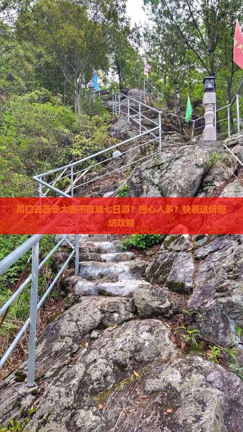 周口去西安大唐不夜城七日游