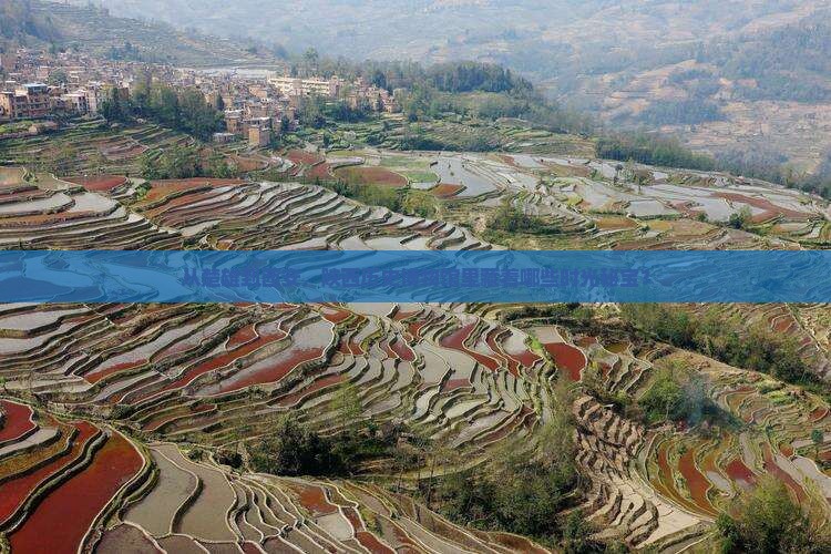 楚雄到西安陕西历史博物馆旅游