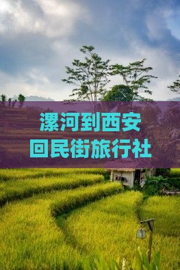 漯河到西安回民街旅行社