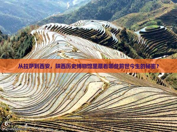 拉萨到西安陕西历史博物馆攻略
