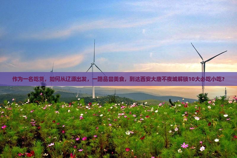 辽源到西安大唐不夜城旅游小吃
