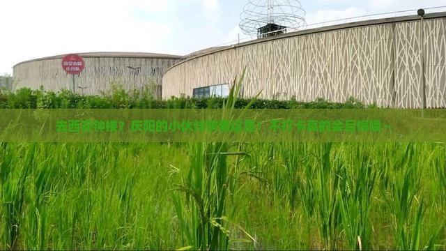 庆阳去西安钟楼必去地