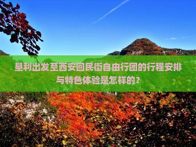 垦利去西安回民街自由团