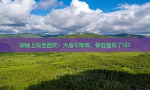 上海去西安大唐不夜城必去地