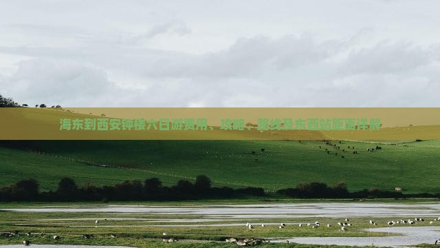 海东到西安钟楼六日游