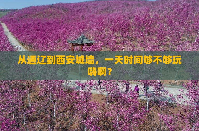 通辽市到西安城墙一日游