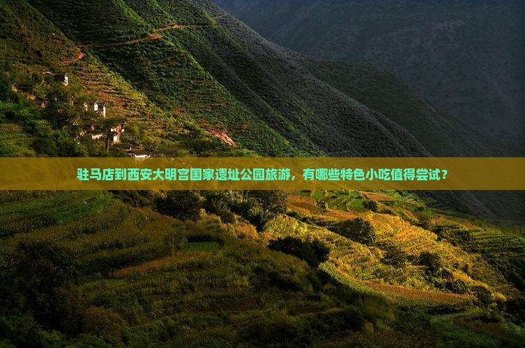 驻马店到西安大明宫国家遗址公园旅游小吃
