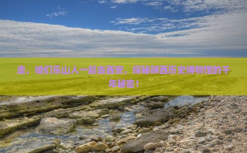 乐山到西安陕西历史博物馆团体旅游