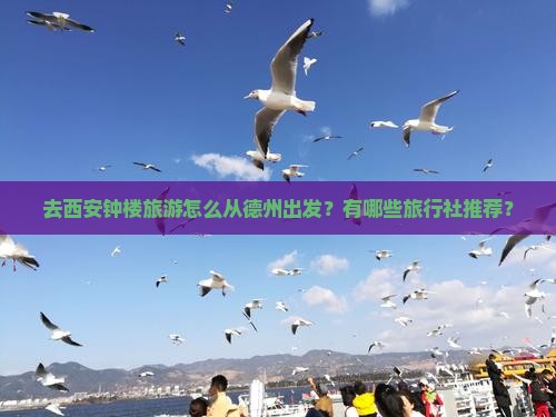 德州到西安钟楼旅行社