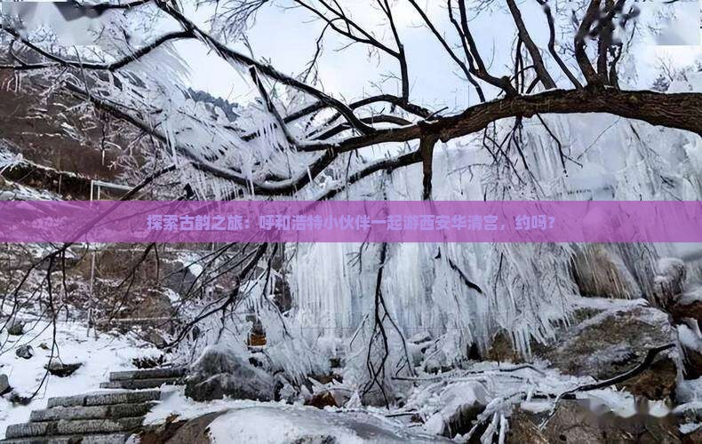 呼和浩特到西安华清宫团体旅游