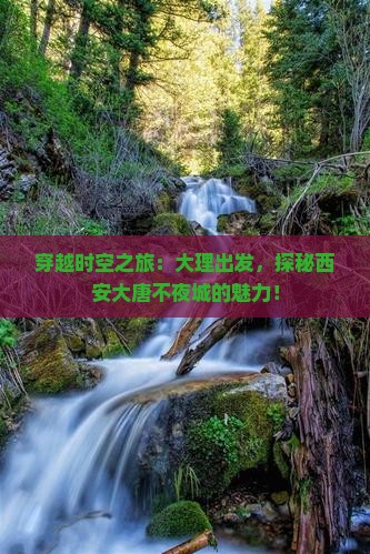 大理去西安大唐不夜城景点