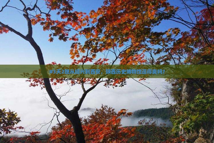绍兴去西安陕西历史博物馆六日游