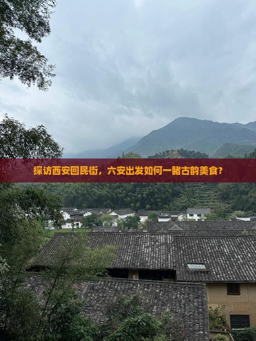 六安去西安回民街门票
