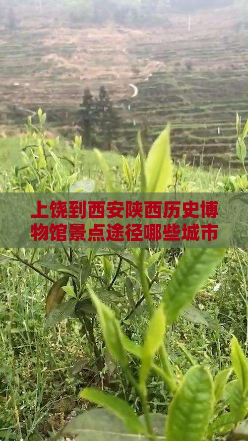 上饶到西安陕西历史博物馆景点