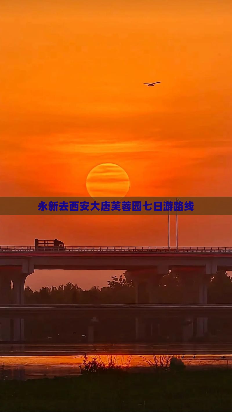 永新去西安大唐芙蓉园七日游