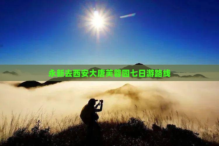 永新去西安大唐芙蓉园七日游
