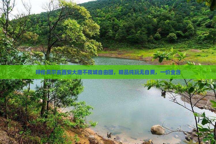 呼伦贝尔去西安大唐不夜城自由团