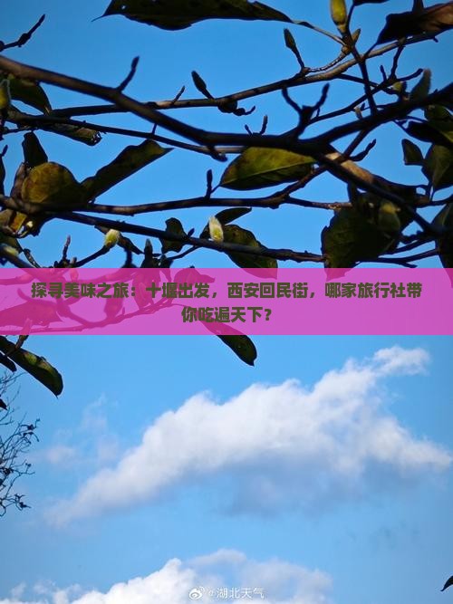 十堰到西安回民街旅行社