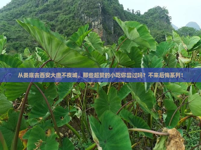娄底到西安大唐不夜城旅游小吃