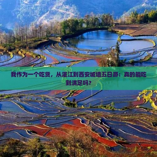 湛江到西安城墙五日游