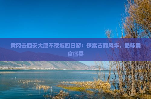 黄冈去西安大唐不夜城四日游