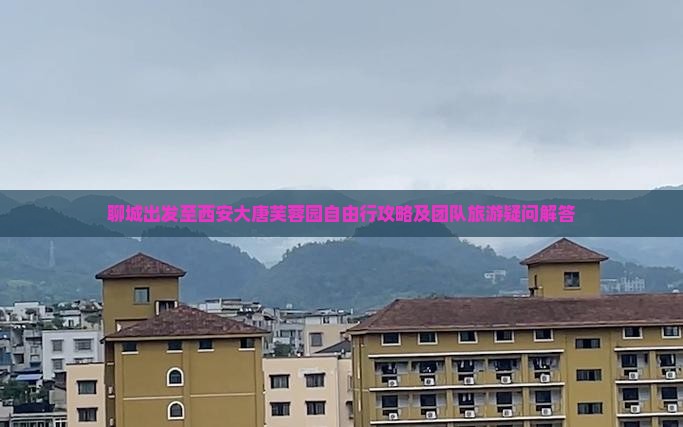 聊城到西安大唐芙蓉园自由团