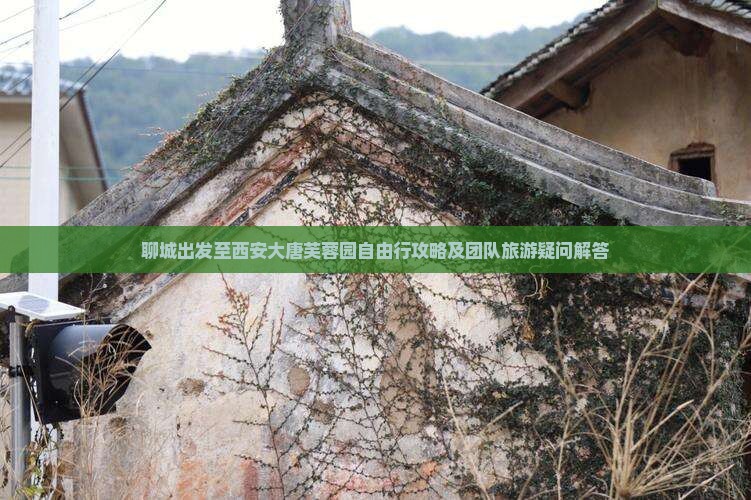 聊城到西安大唐芙蓉园自由团