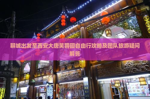 聊城到西安大唐芙蓉园自由团