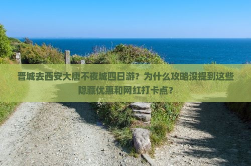 晋城去西安大唐不夜城四日游