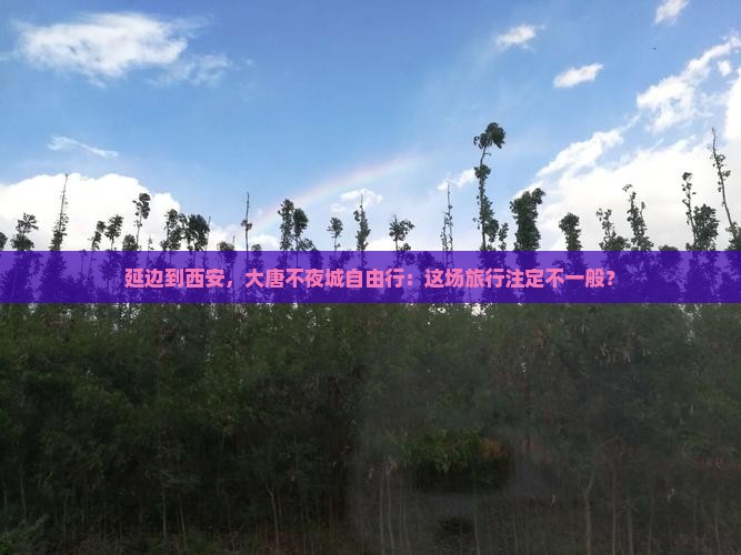 延边去西安大唐不夜城自由团